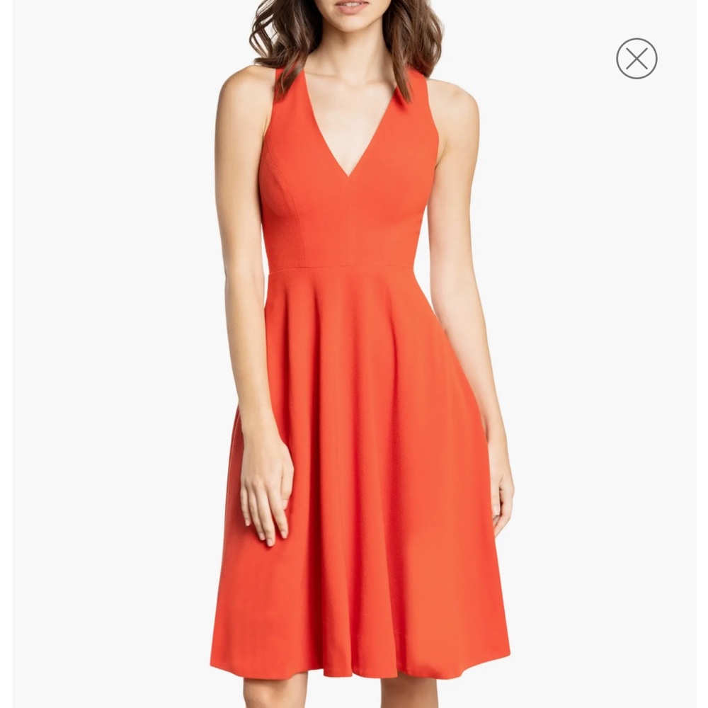 Dress the population, Catalina Fit & Flare Cocktail Dress